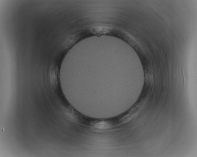 X0000111460460200908101058