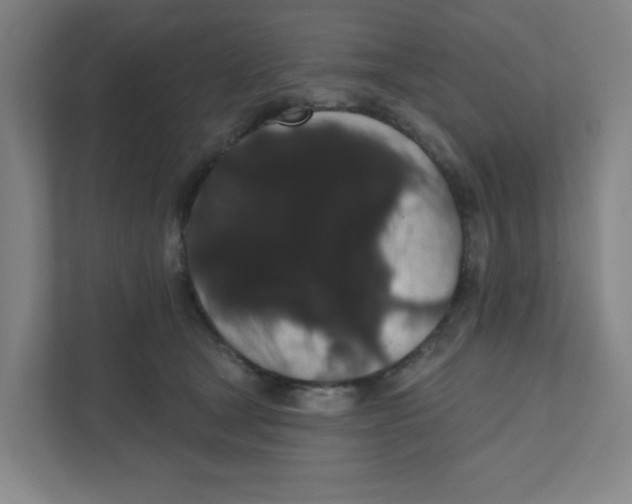 X0000111460465200908101058