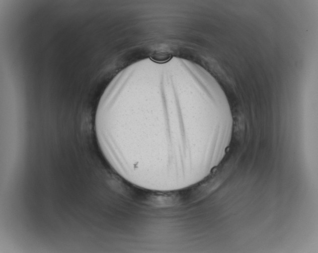 X0000111460466200908101058