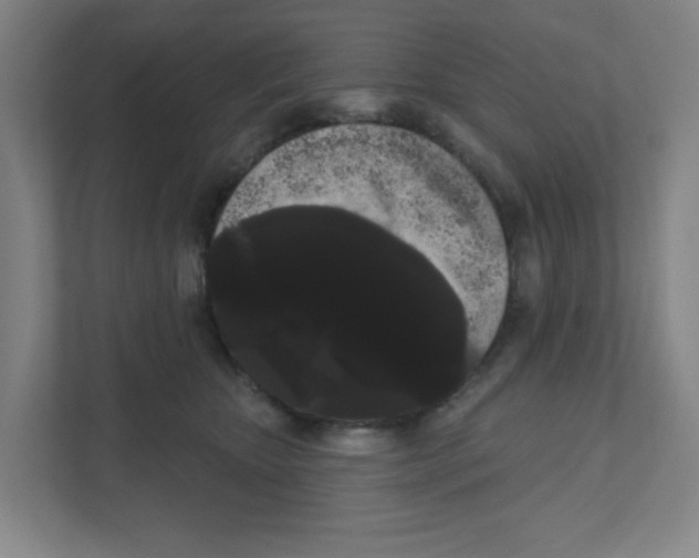 X0000111460467200908101058