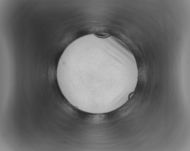 X0000111460474200908101058