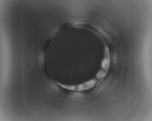 X0000111460475200908101058