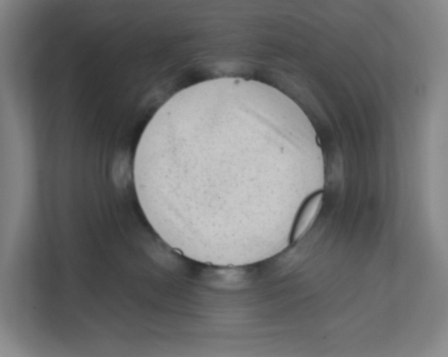 X0000111460478200908101058