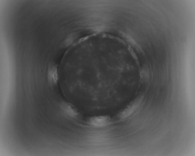 X0000111460479200908101058