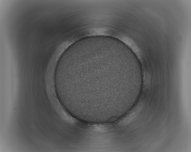 X0000111460481200908101057