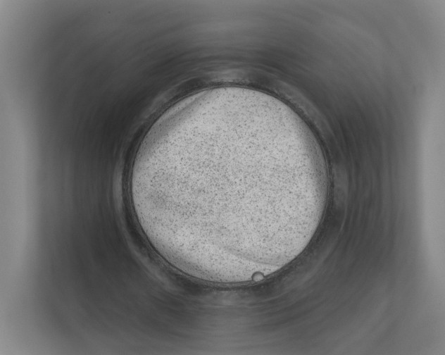 X0000111460482200908101057