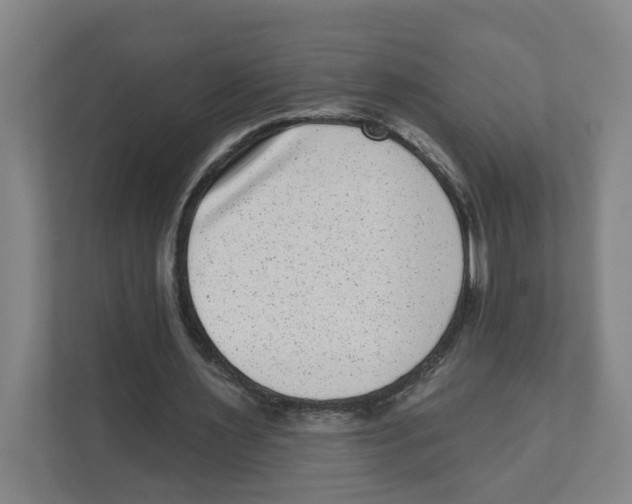 X0000111460483200908101057