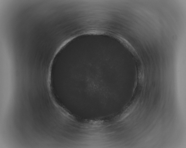 X0000111460484200908101057