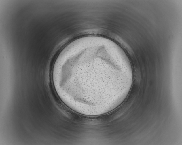 X0000111460486200908101057