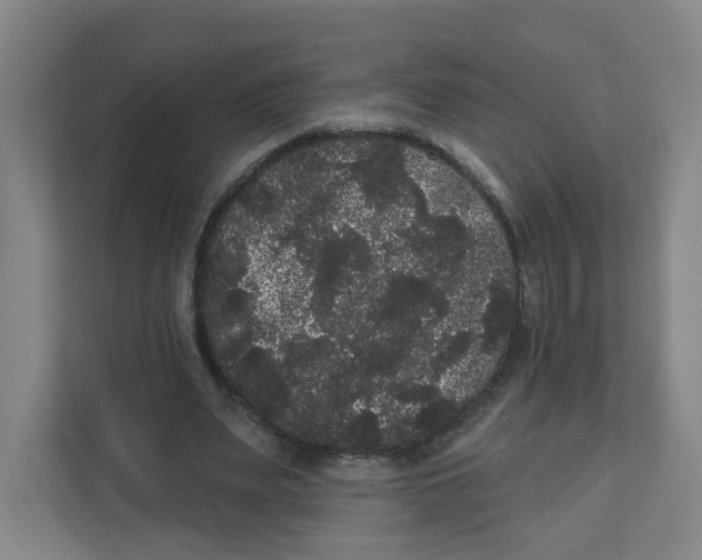 X0000111460487200908101057