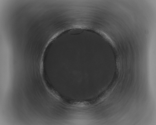X0000111460488200908101057