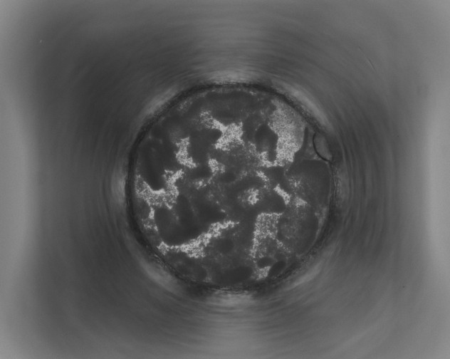X0000111460491200908101057