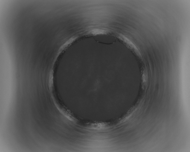 X0000111460492200908101057