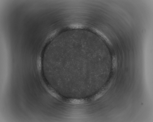 X0000111460494200908101057