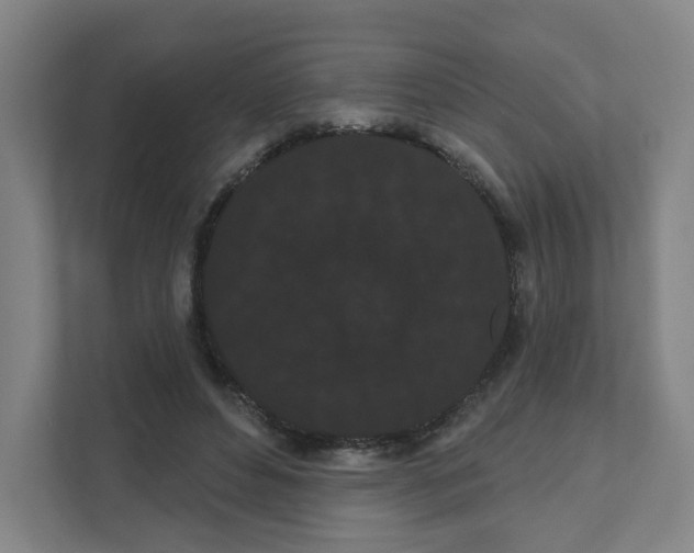 X0000111460496200908101057