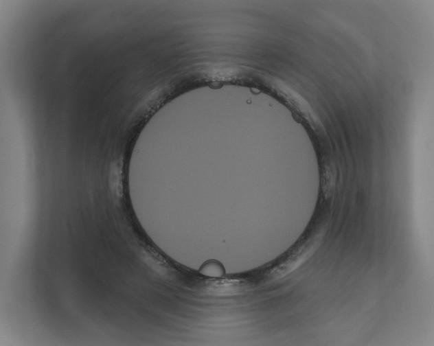 X0000111460497200908101057