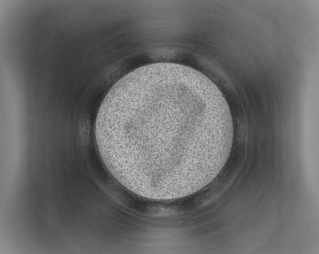 X0000111460498200908101057