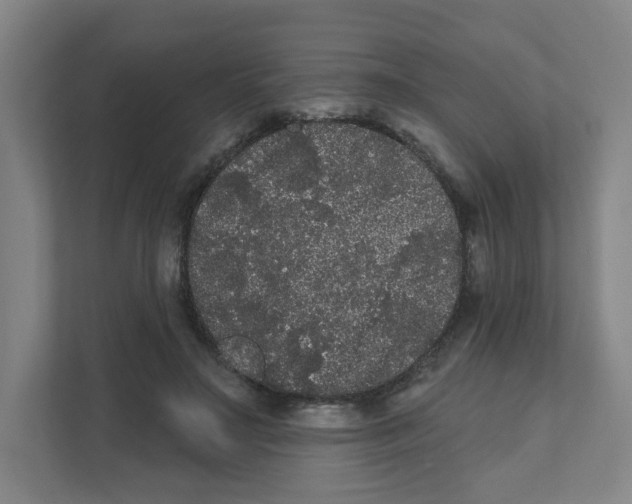X0000111460499200908101057