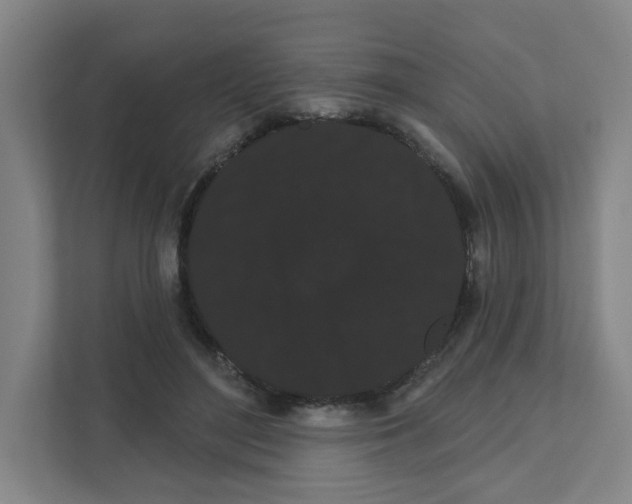 X0000111460500200908101057