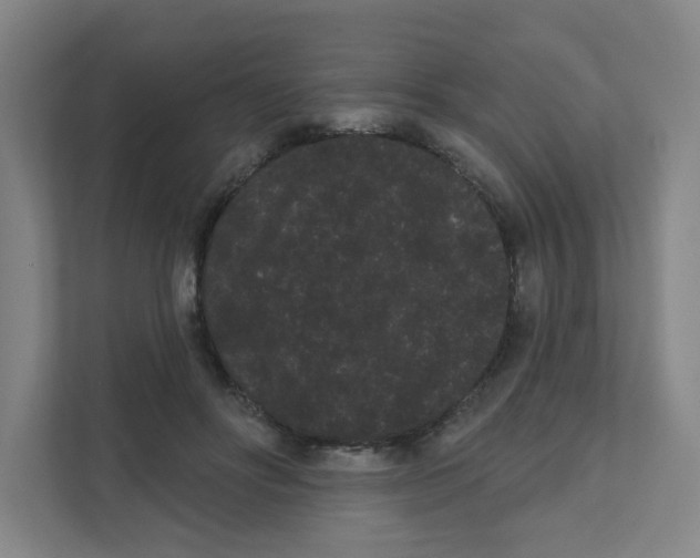 X0000111460502200908101057