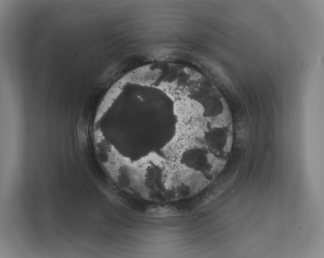 X0000111460503200908101057