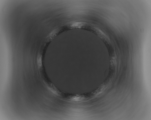 X0000111460504200908101057