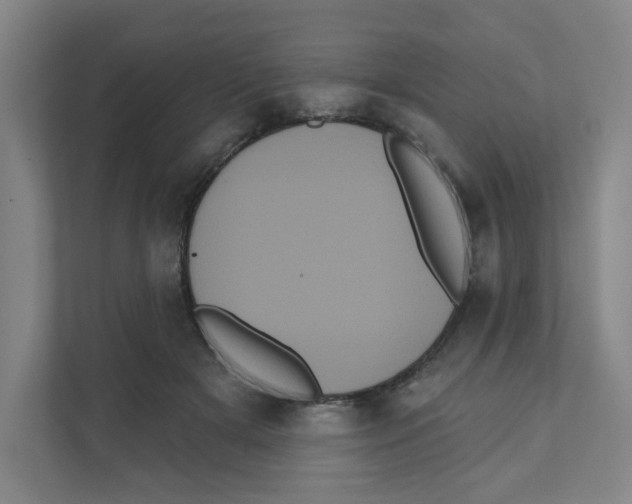 X0000111460505200908101057