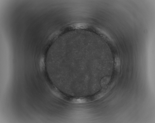 X0000111460506200908101057