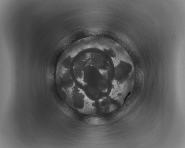 X0000111460507200908101057