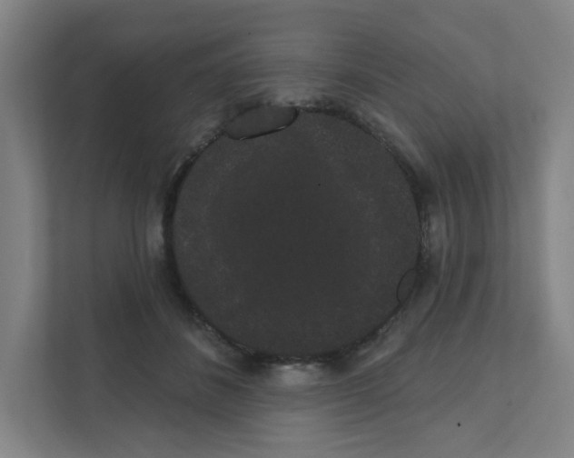 X0000111460508200908101057