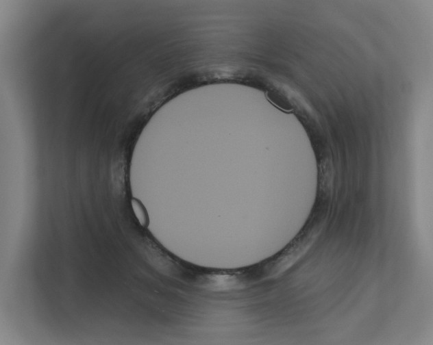 X0000111460509200908101057