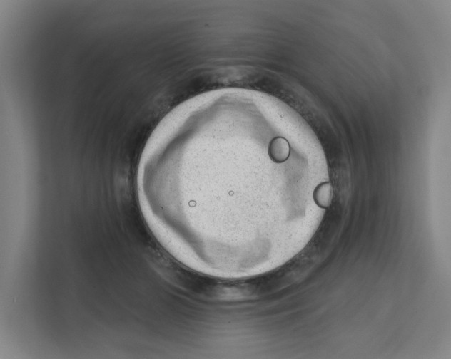 X0000111460510200908101057