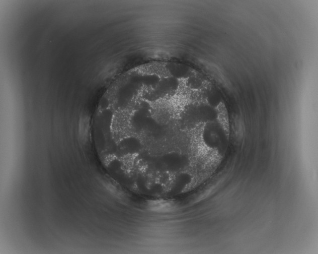 X0000111460511200908101057