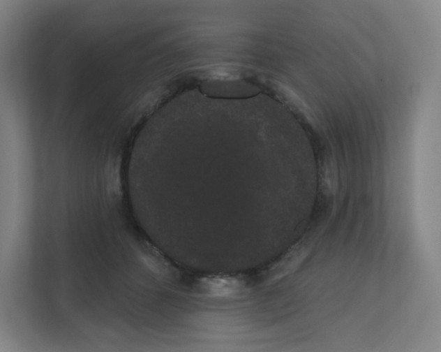 X0000111460512200908101057