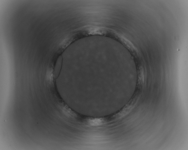 X0000111460513200908101057