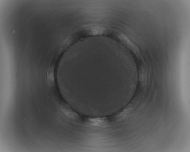 X0000111460516200908101057