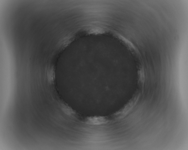 X0000111460517200908101057