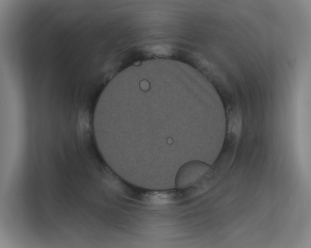 X0000111460518200908101057
