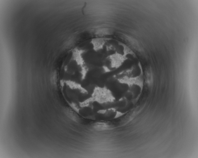 X0000111460519200908101057