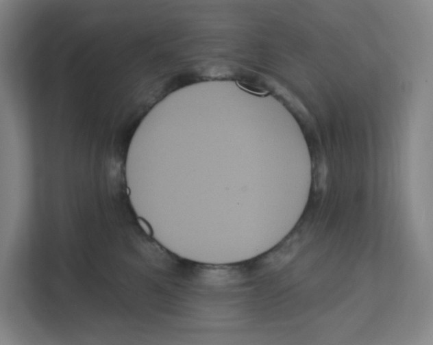 X0000111460521200908101057