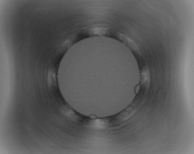 X0000111460522200908101057