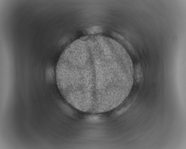 X0000111460523200908101057