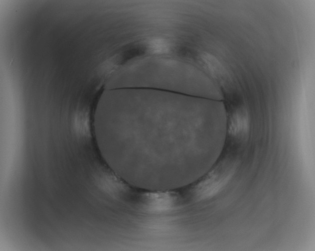 X0000111460524200908101057