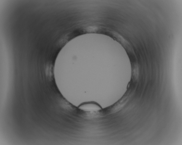 X0000111460525200908101057