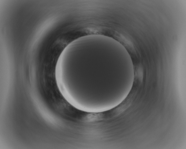 X0000111460526200908101057