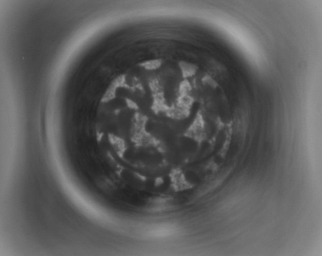 X0000111460527200908101057