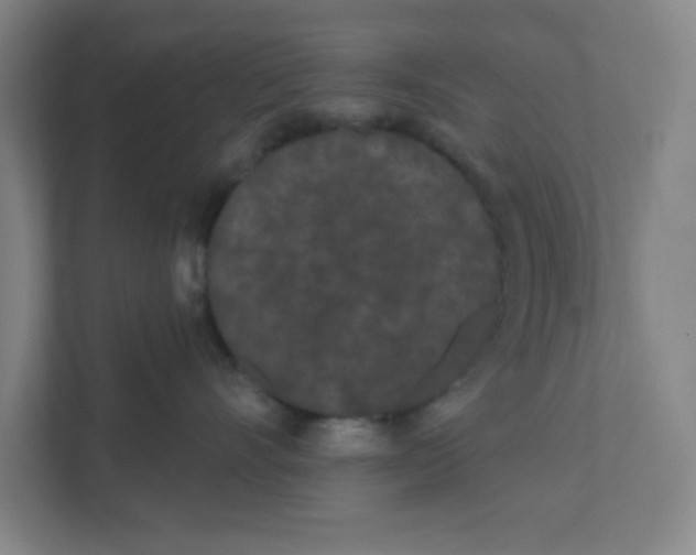 X0000111460528200908101057