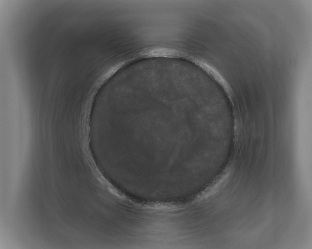 X0000111460529200908101056
