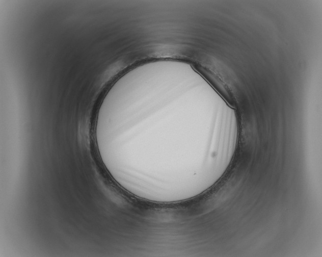 X0000111460530200908101056