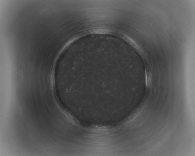 X0000111460531200908101056